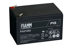 FG